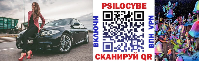 Псилоцибиновые грибы Psilocybe  Менделеевск 