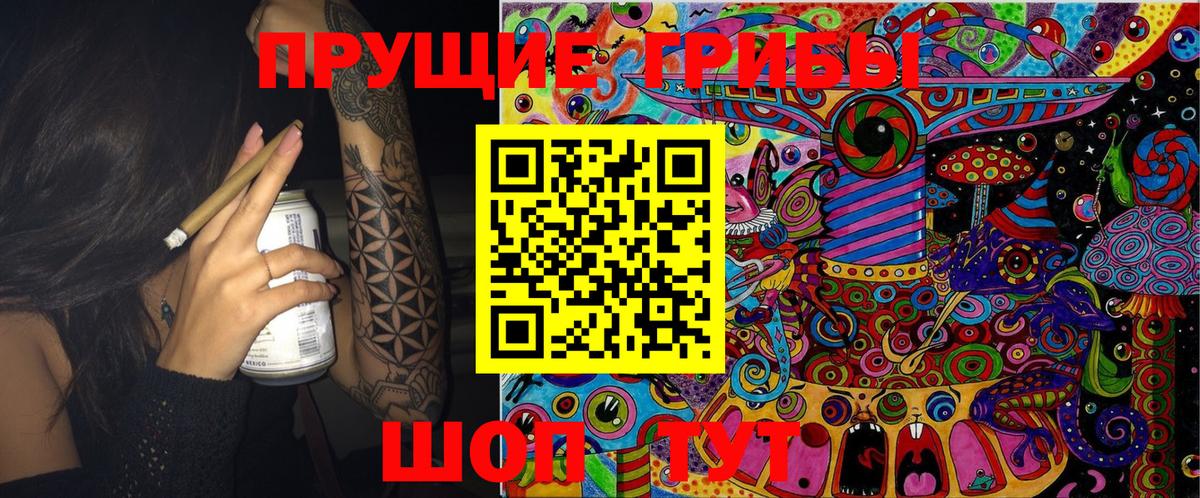 Менделеевск  Псилоцибиновые грибы Cubensis  Вход с VPN 