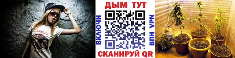 магазин продажи   Менделеевск  Конопля индика 